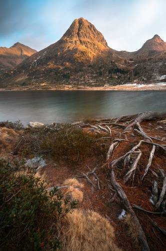 Last rays of the day