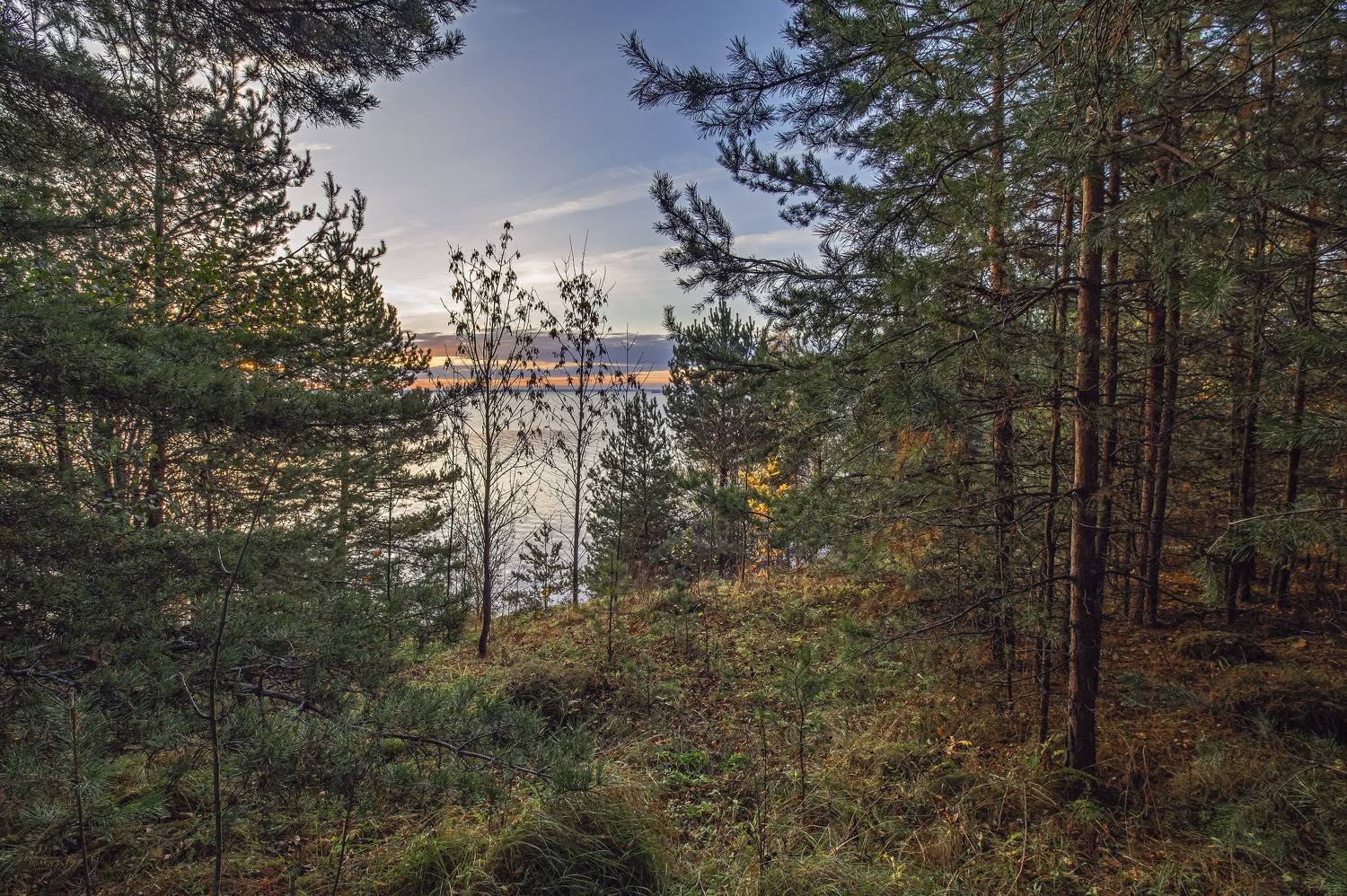 , Шитов Александр