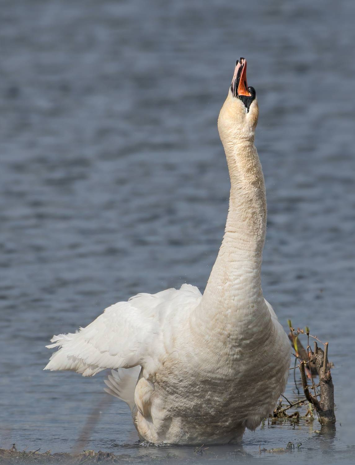 , Фото Александр