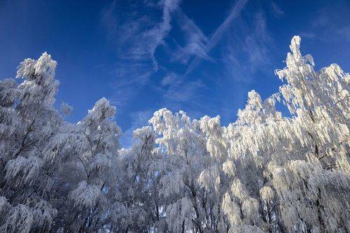Зимние фотозарисовки