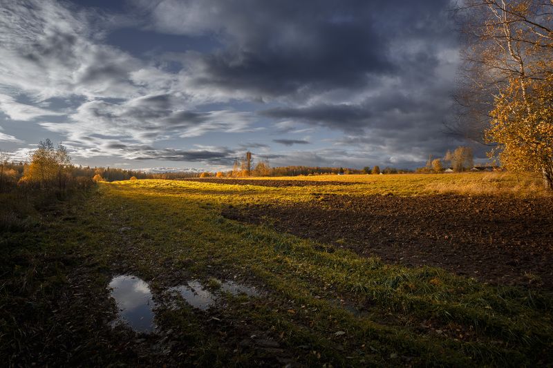 осень закат Прощание с осенью... фото превью