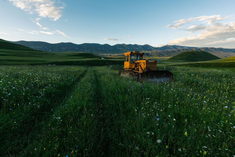дагестан, горы, лето, поля, цветы, техника, день Одинокий в поле фото превью