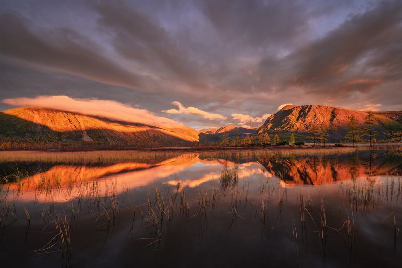 Колымское Доброе утро! фото превью