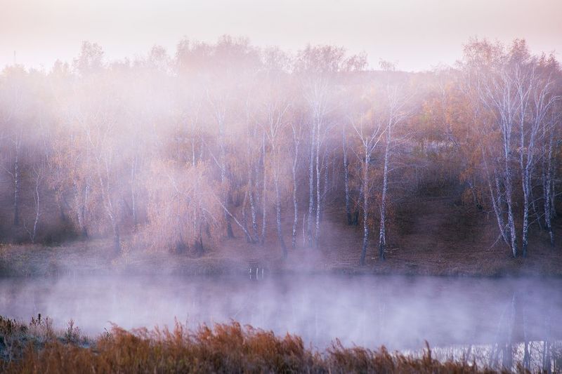 утро, туман, осень, деревенский пейзаж  фото превью