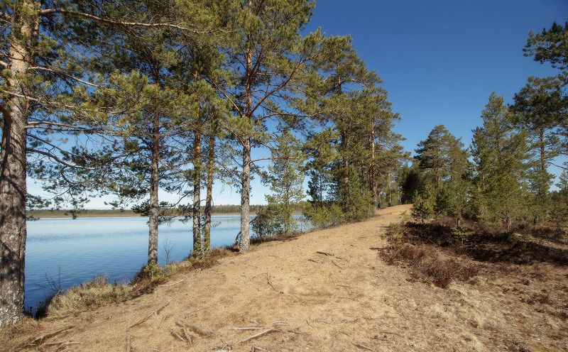 *** фото превью