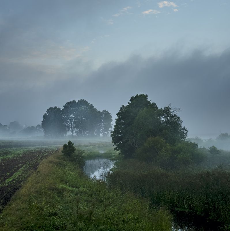 Misty morning фото превью