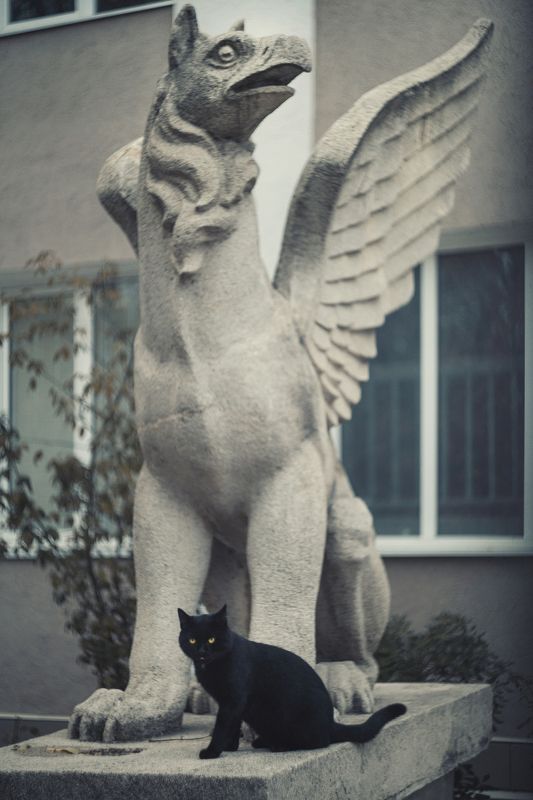 Стражи лапидария. фото превью