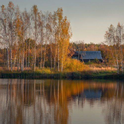 Ленивое осеннее утро