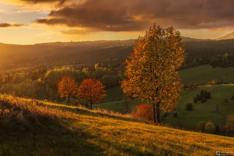 Autumn Colors фото превью