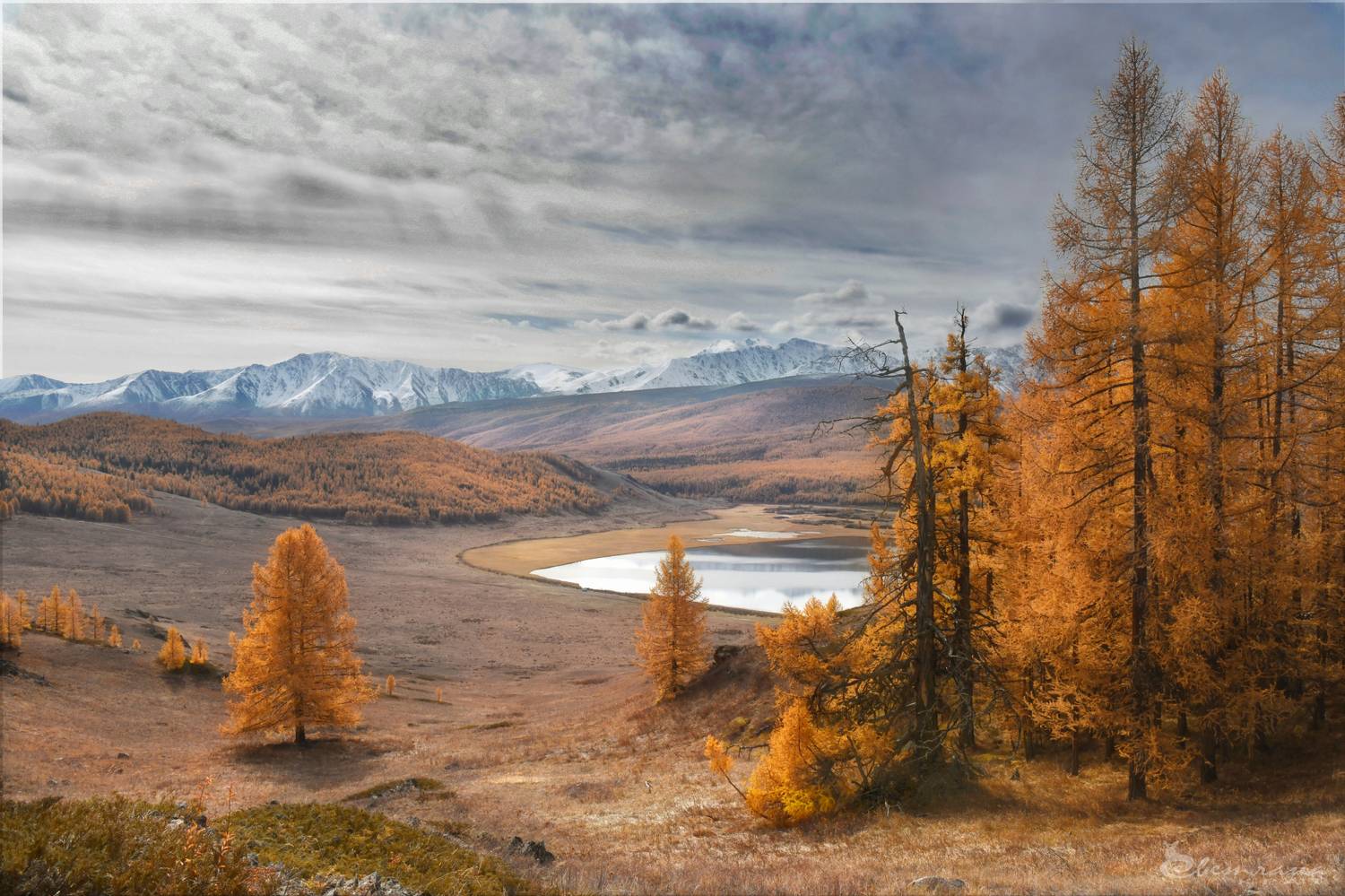 , Светлана Крат