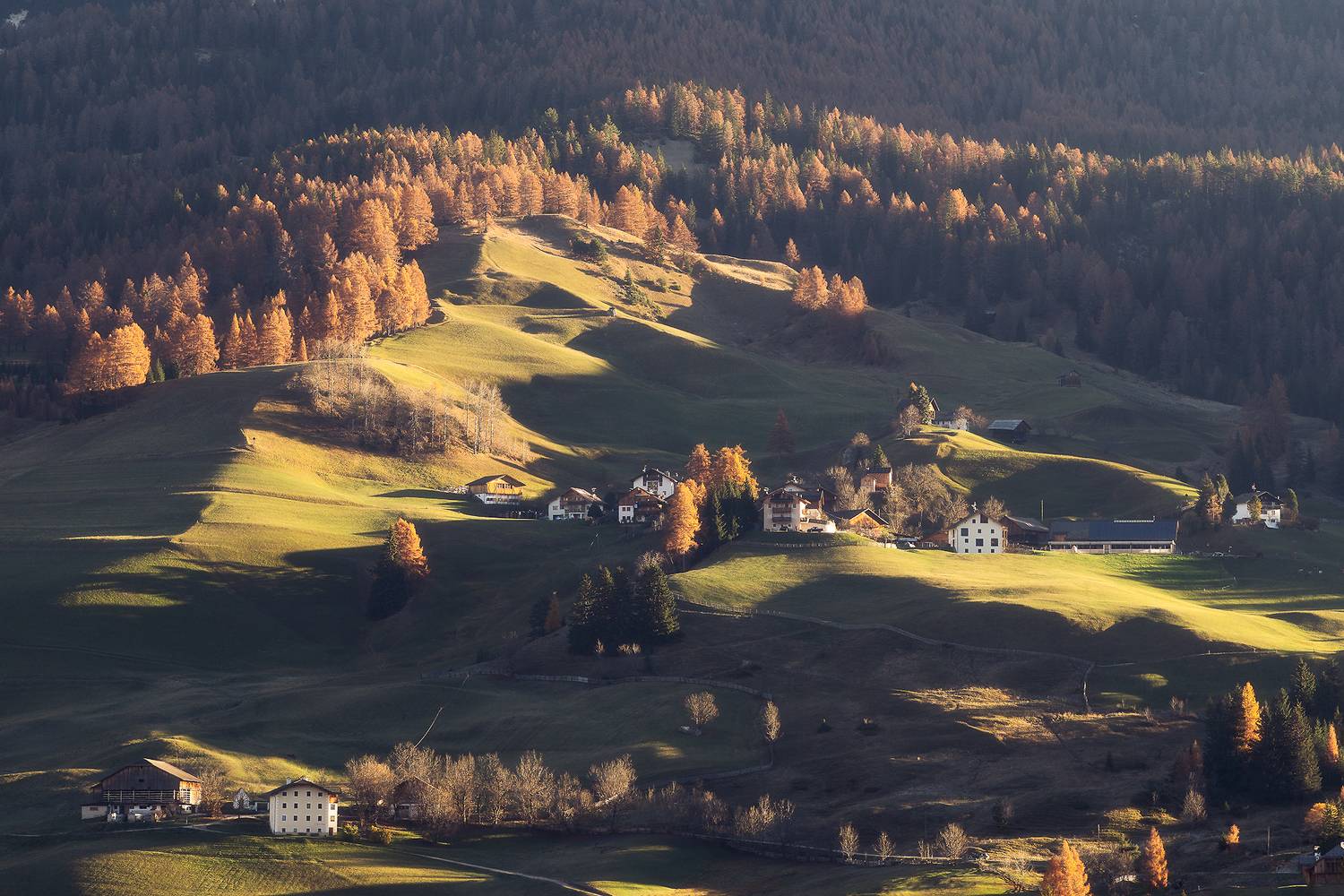 , Andrea Mazz&ugrave;