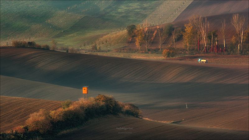 южная моравия,пейзаж,линии,south moravian,lines,свет,czech,осень,чехия,landscapes, \