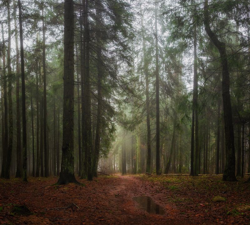 *** фото превью