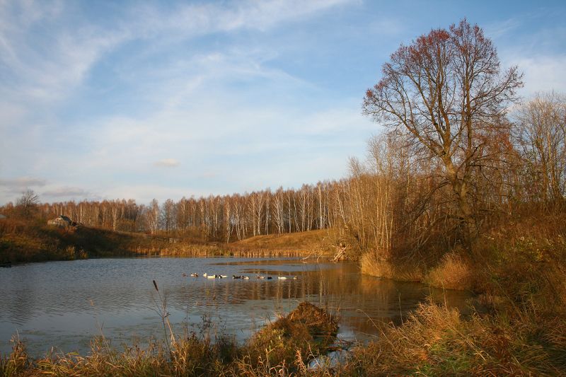 осень, листья, отражение Поздняя осень фото превью