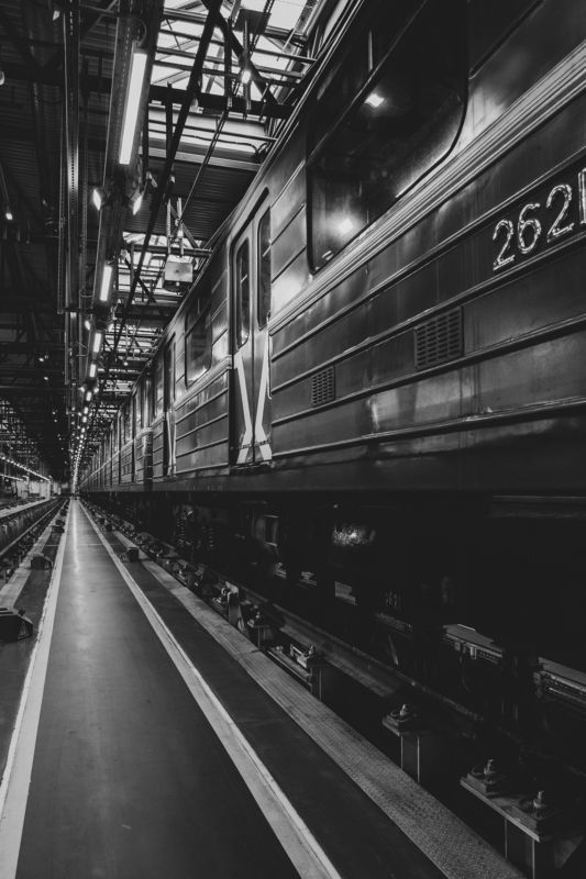 P241 фото превью