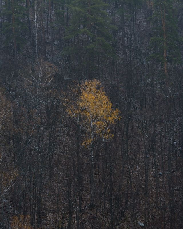 Прощание с осенью фото превью