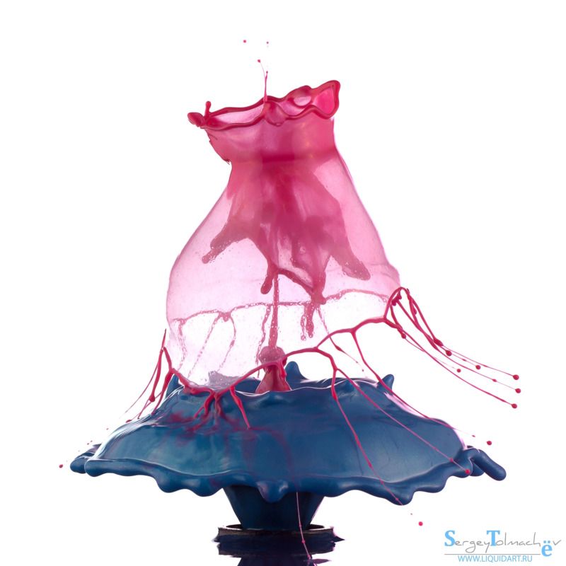 сергей толмачев, уменянакухне, liquidart, liquid, splash, water, waterdrop, капли, всплеск, вода, макро, падениекапли,  фото превью