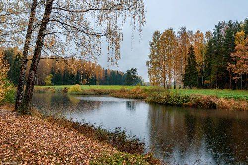 Дождливый день в парке