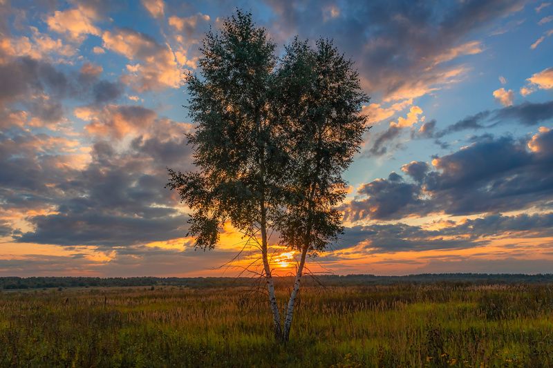 закат вечер Закаты 2. фото превью