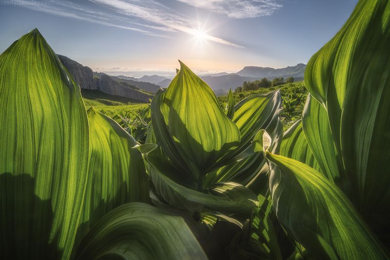 тхач, большой тхач, фототур, яковлевфототур, кавказ, адыгея Большой Тхач фото превью