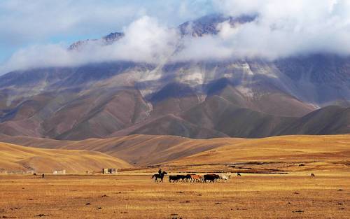 Люди кони...коровы...