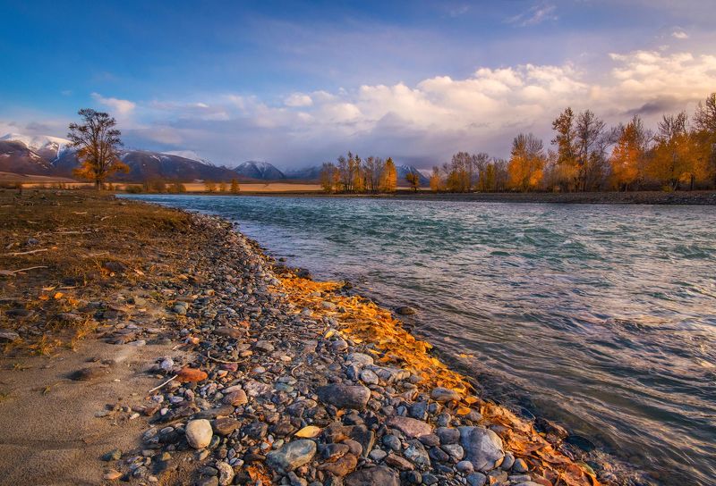 Чуя осенняя фото превью