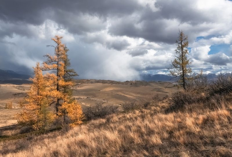 Алтайская осень фото превью