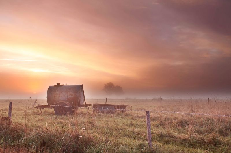 Dawn фото превью