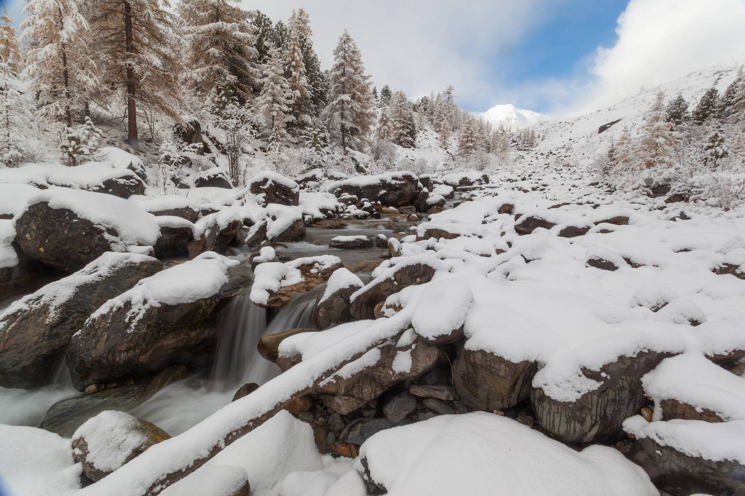 , Сергей Молоков