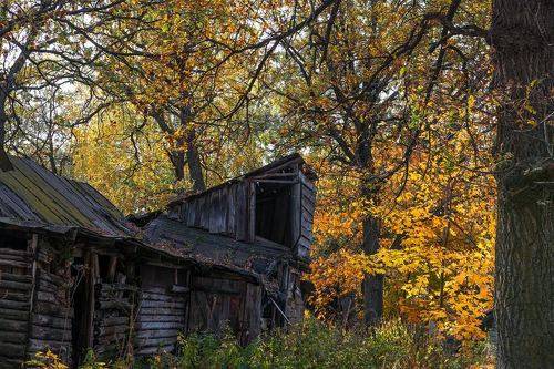 Про осень...