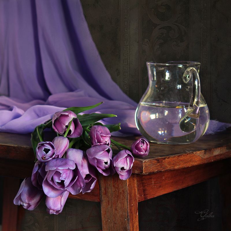 Сиреневые тюльпаны фото превью