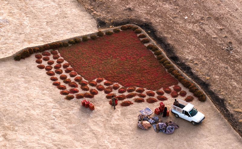 Red food фото превью