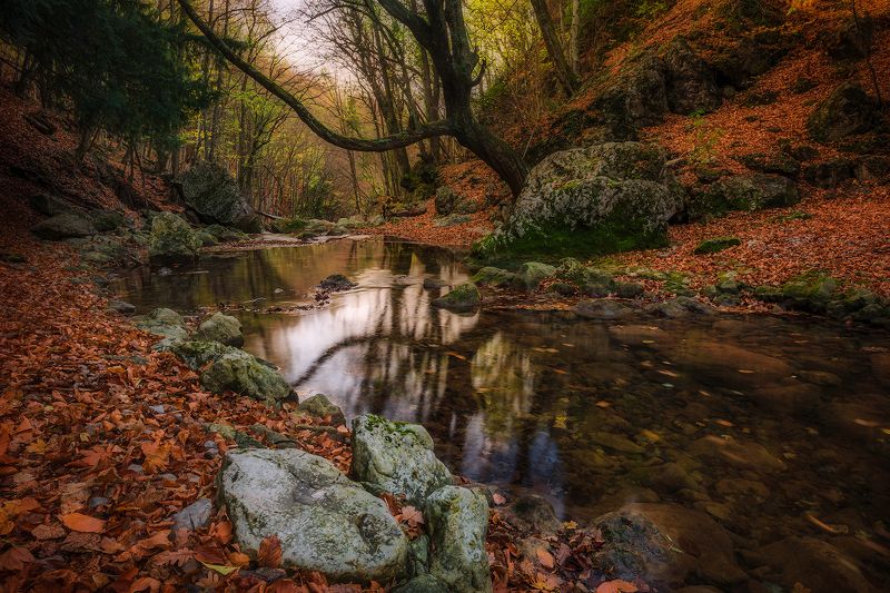Зеркало - река фото превью