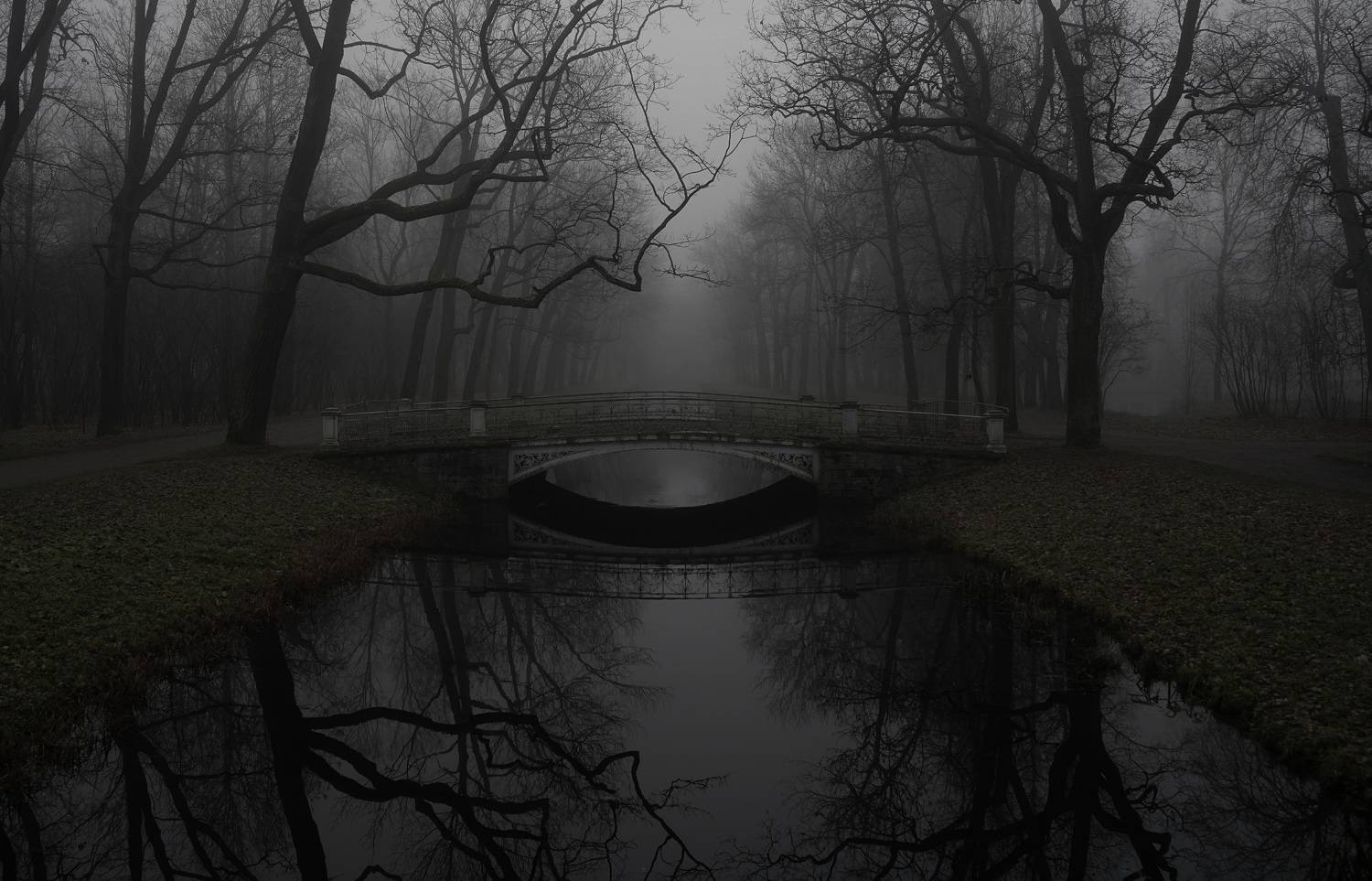 ,  Сергей Андреевич