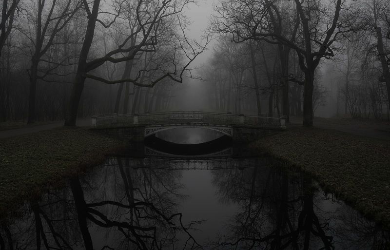 Dark morning фото превью