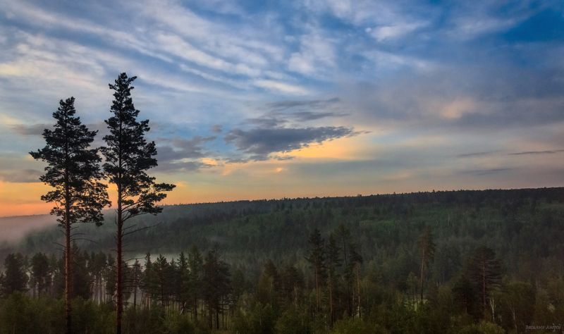 иркутская область, природа, вечер, закат Две сосны фото превью