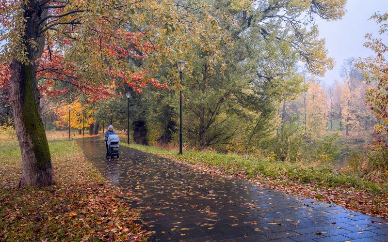 парк, осень, природа, москва В осеннем парке фото превью