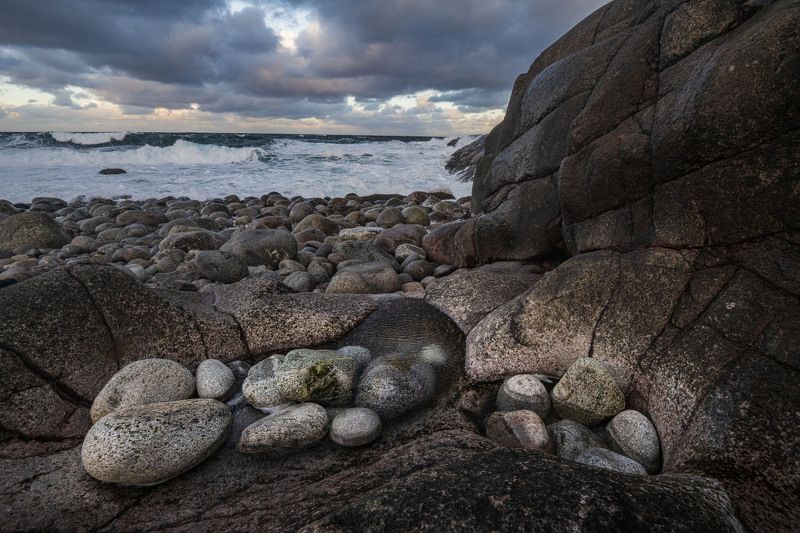 Яица дракона фото превью