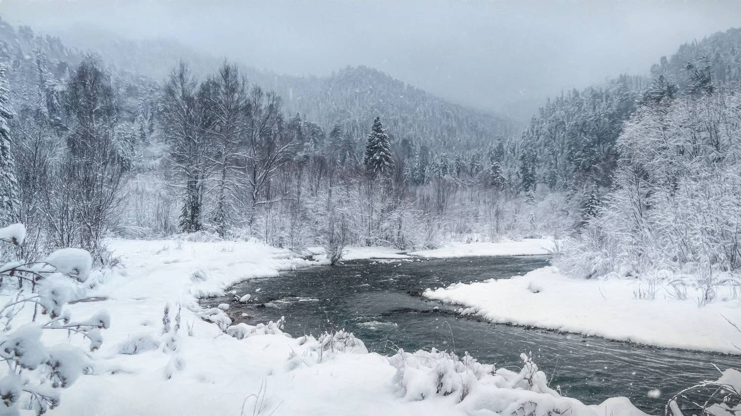 , Шварцман Евгений