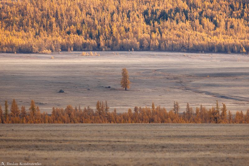 Осенние краски Алтая фото превью