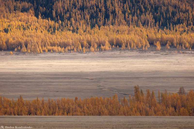 Осенние краски Алтая фото превью