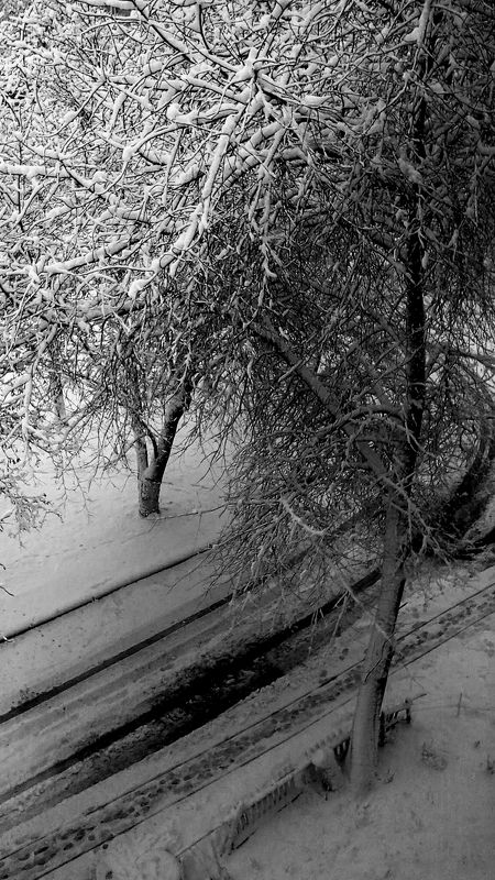 природа Ожидание зимы фото превью