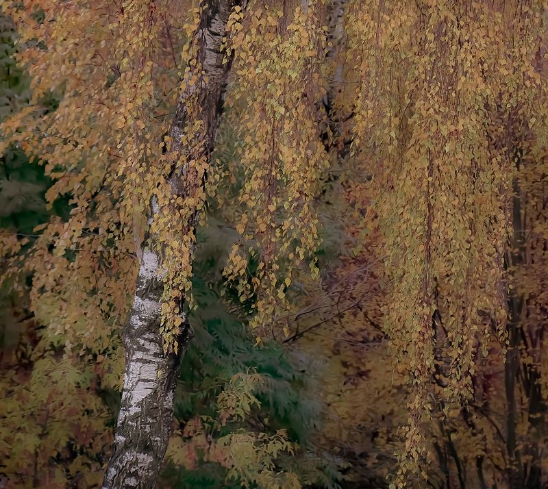 Времена года фото превью