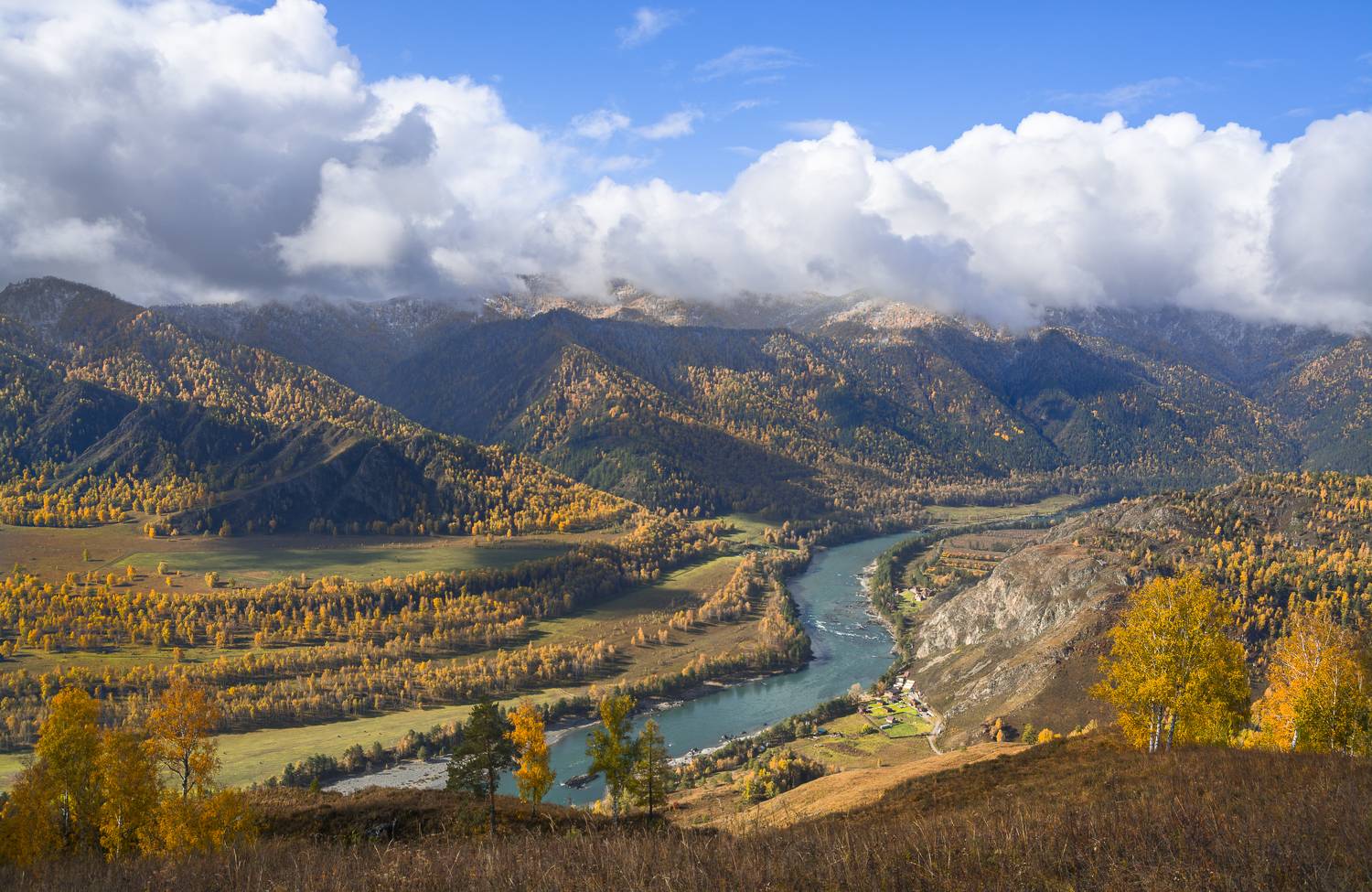 россия, горный алтай, река катунь, осень, утро, Андрей Поляков