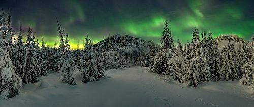 Aurora in Canadian Rockies