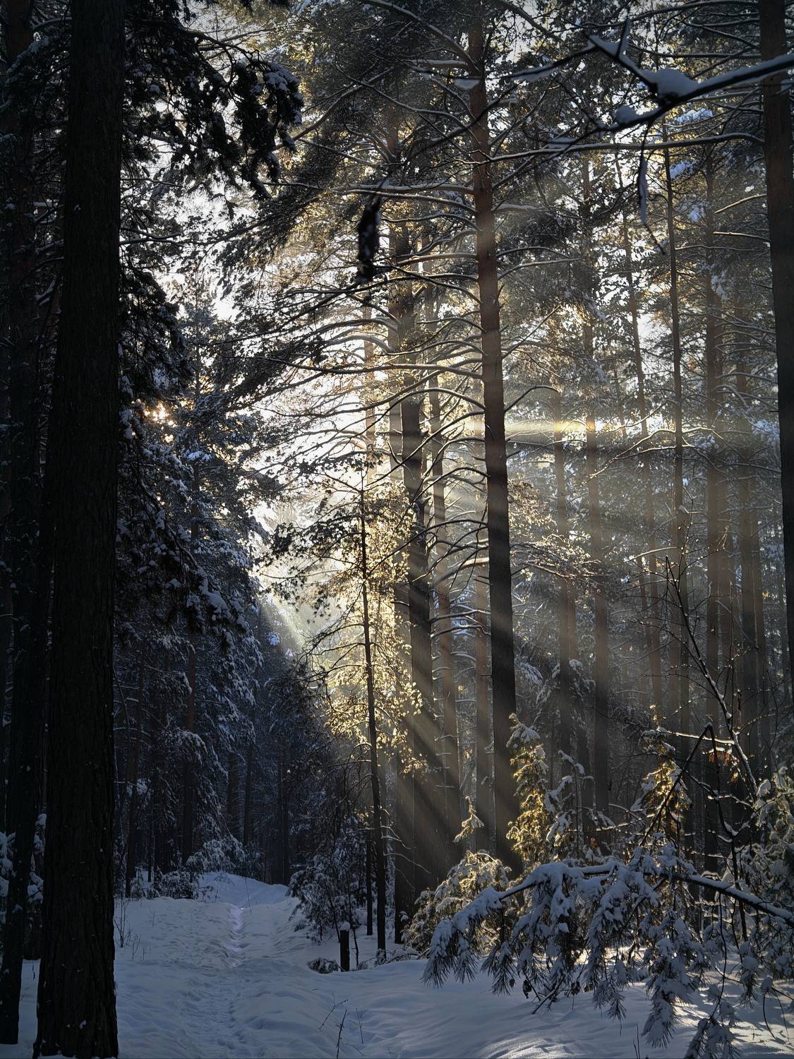 , Кузнецов Дмитрий