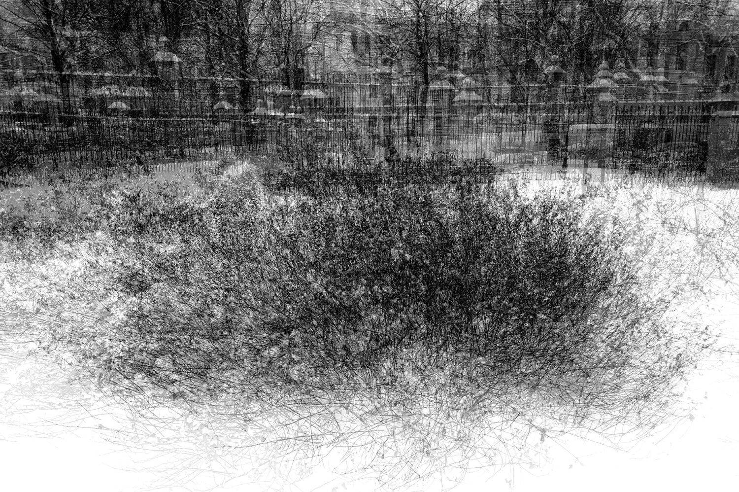 , Антон Лаба