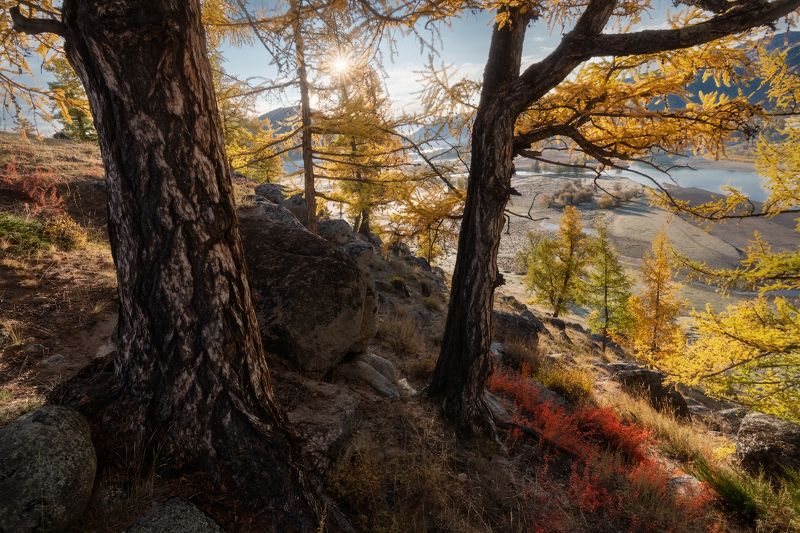 Пламя осени фото превью