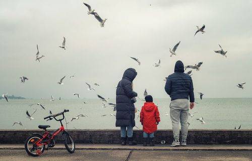 В гостях у чаек.