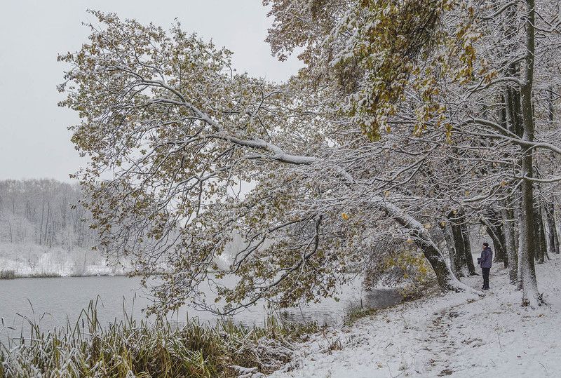 тула цпкио Места заветные. Тула. ЦПКиО. фото превью